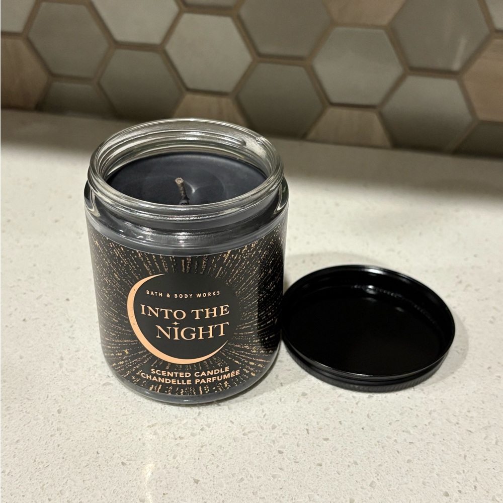 Bath and Body Works Single Wick Candle - Into the Night